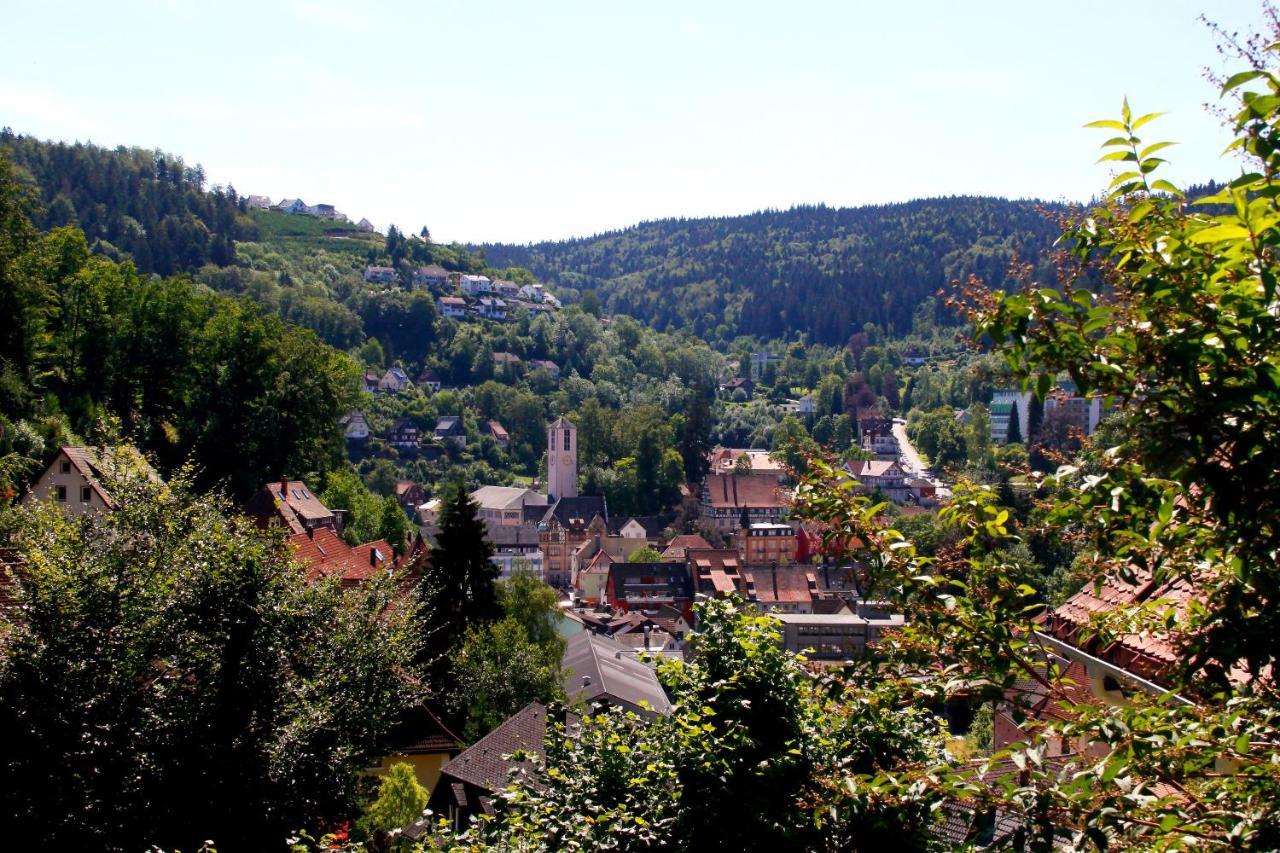 Hotel Cafe Adler 24H Self Check In Triberg im Schwarzwald Ngoại thất bức ảnh